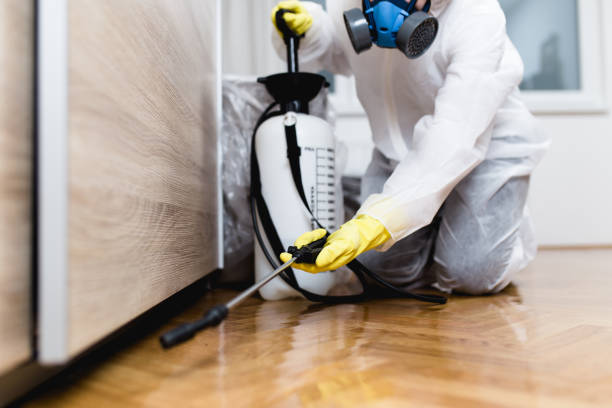 Best Affordable Pest Control Services  in Elbow Lake, MN