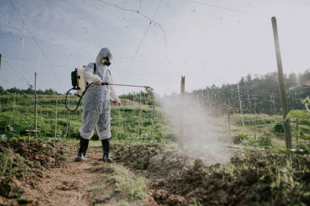 Best Pest Prevention Services  in Elbow Lake, MN
