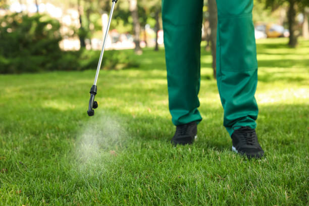 Best Exterminator Services  in Elbow Lake, MN