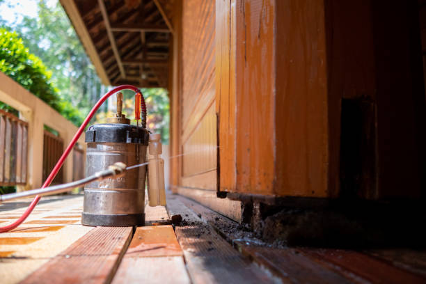 Best Cockroach Control Services  in Elbow Lake, MN